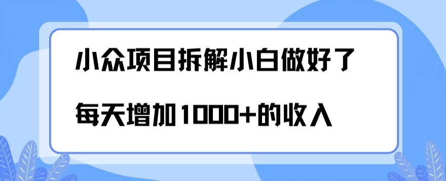 小众项目拆解，小白做好了每天可增加1000多的收入-小北视界