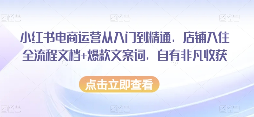 小红书电商运营从入门到精通，店铺入住全流程文档+爆款文案词，自有非凡收获-小北视界