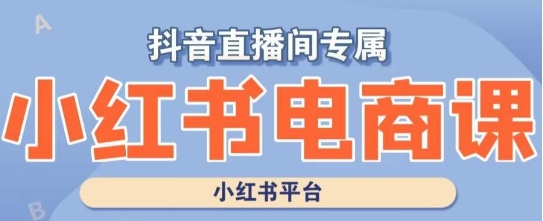 小红书电商高级运营课程，实操教学+案例分析-小北视界