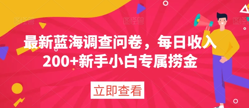 最新蓝海调查问卷，每日收入200+新手小白专属捞金-小北视界