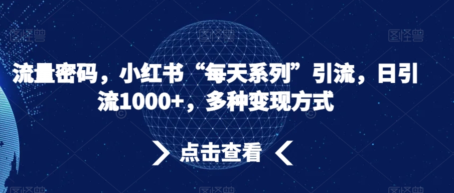 流量密码，小红书“每天系列”引流，日引流1000+，多种变现方式【揭秘】-小北视界