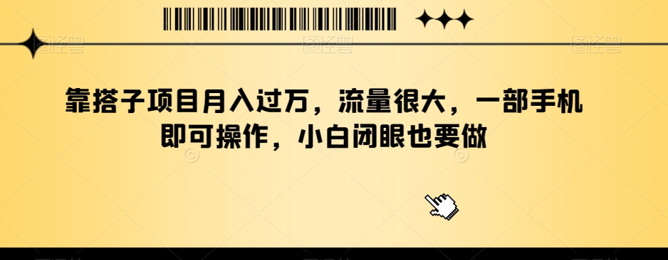 靠搭子项目月入过万，流量很大，一部手机即可操作，小白闭眼也要做-小北视界