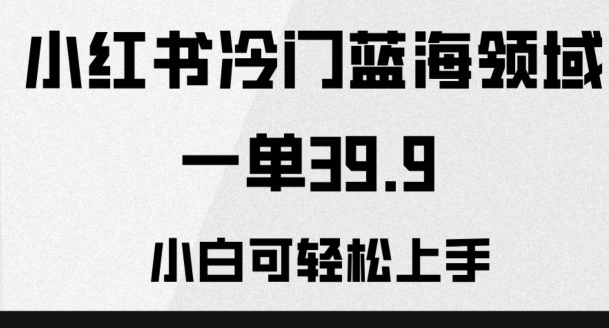 小红书冷门蓝海领域，一单39.9，小白可轻松上手-小北视界