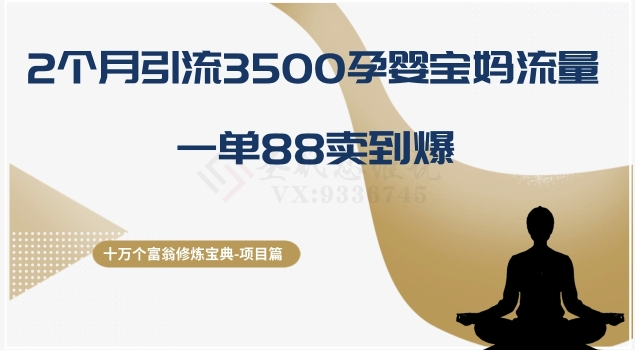 十万个富翁修炼宝典之13.2个月引流3500孕婴宝妈流量，一单88卖到爆-小北视界