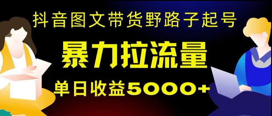 抖音图文带货暴力起号，单日收益5000+，野路子玩法，简单易上手，一部手机即可【揭秘】-小北视界