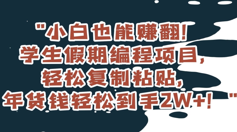 小白也能赚翻！学生假期编程项目，轻松复制粘贴，年货钱轻松到手2W+【揭秘】-小北视界