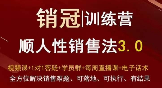 爆款！销冠训练营3.0之顺人性销售法，全方位解决销售难题、可落地、可执行、有结果-小北视界