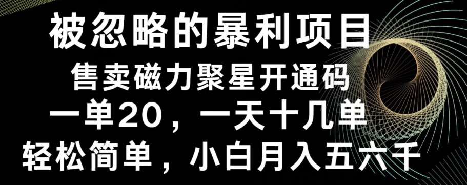 被忽略的暴利项目！售卖磁力聚星开通码，一单20，一天十几单，轻松月入五六千-小北视界