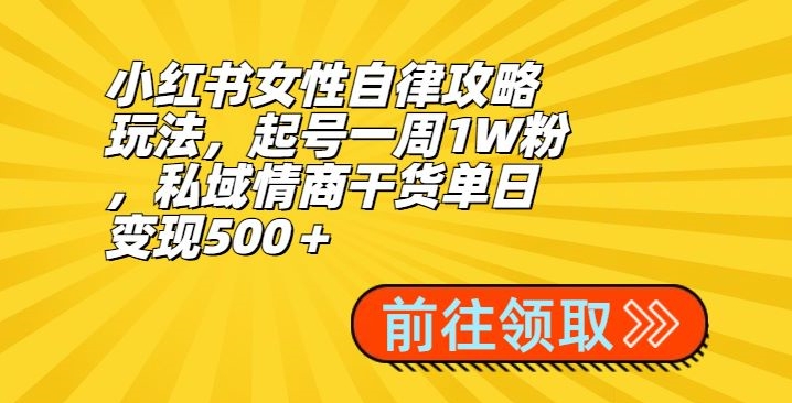 小红书女性自律攻略玩法，起号一周1W粉，私域情商干货单日变现500＋-小北视界