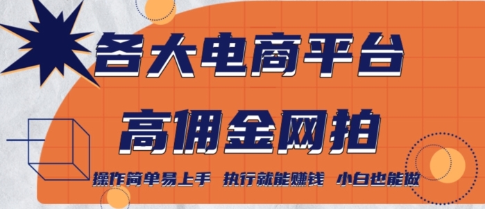 各大电商平台高佣金网拍，操作简单易上手，执行就能赚钱，小白也能做-小北视界