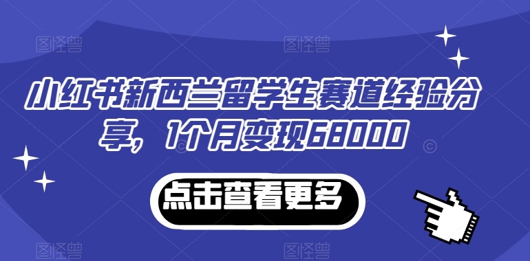 小红书新西兰留学生赛道经验分享，1个月变现68000【揭秘】-小北视界