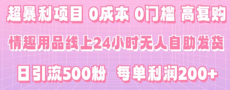 超暴利项目，情趣用品线上24小时-无人自助发货，0成本，0门槛，高复购-小北视界