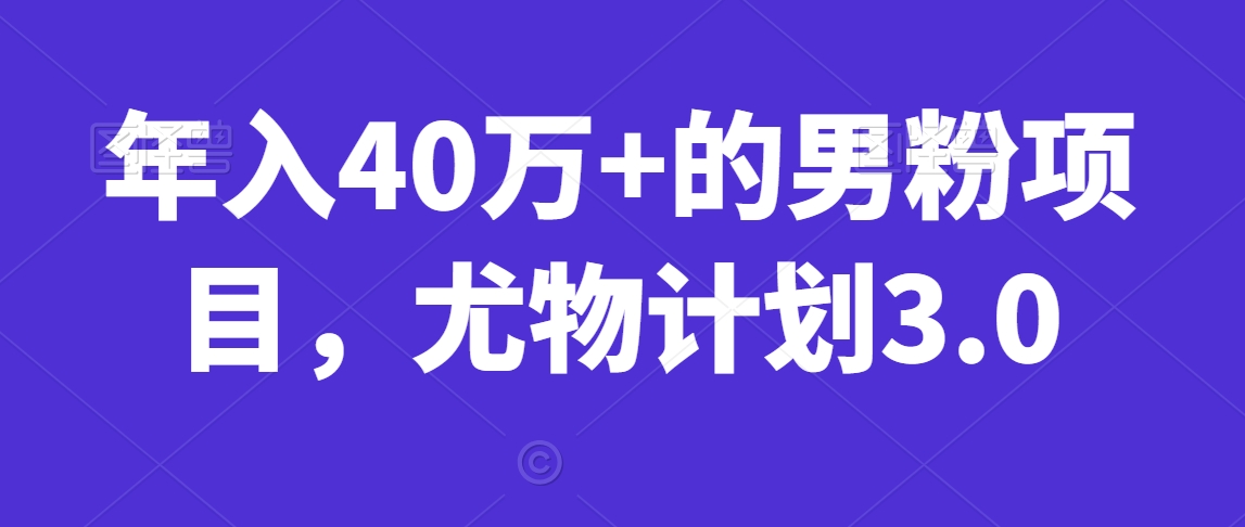 年入40万+的男粉项目，尤物计划3.0-小北视界