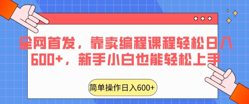 全网首发，靠卖编程课程轻松日入600+，新手小白也能轻松上手-小北视界