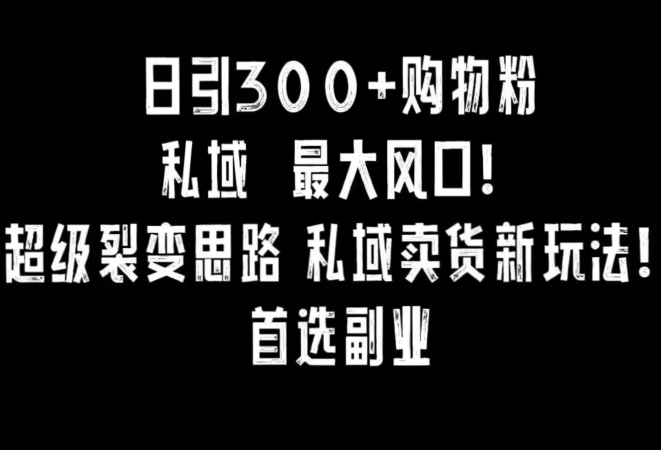 日引300+购物粉，超级裂变思路，私域卖货新玩法，小红书首选副业【揭秘】-小北视界