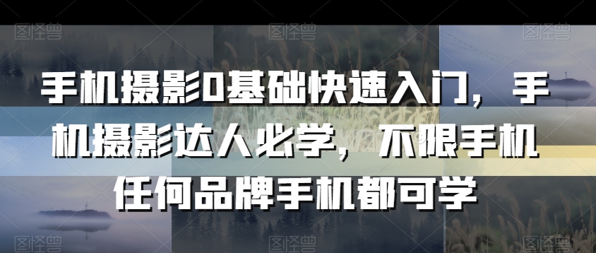 手机摄影0基础快速入门，手机摄影达人必学，不限手机任何品牌手机都可学-小北视界