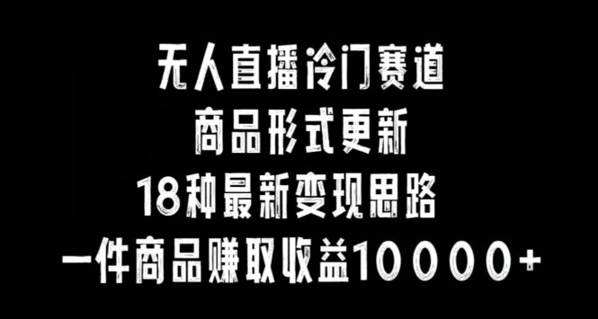 无人直播冷门赛道，商品形式更新，18种变现思路，一件商品赚取收益10000+【揭秘】-小北视界