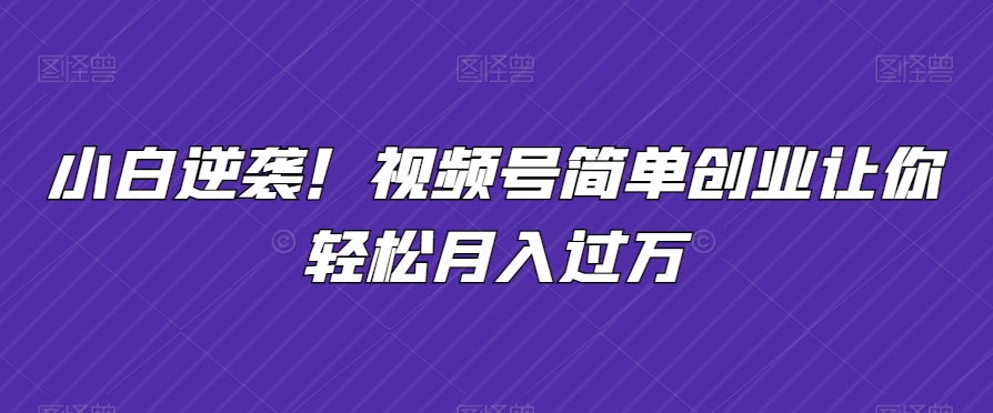 小白逆袭！视频号简单创业让你轻松月入过万-小北视界