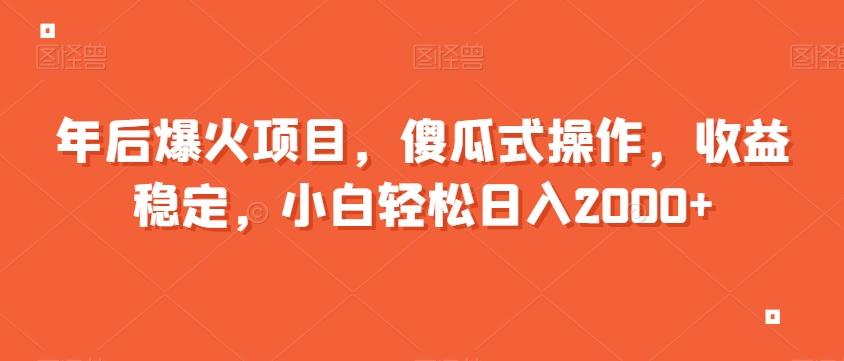 年后爆火项目，傻瓜式操作，收益稳定，小白轻松日入2000+-小北视界