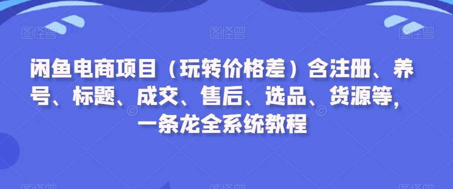 闲鱼电商项目（玩转价格差）含注册、养号、标题、成交、售后、选品、货源等，一条龙全系统教程-小北视界