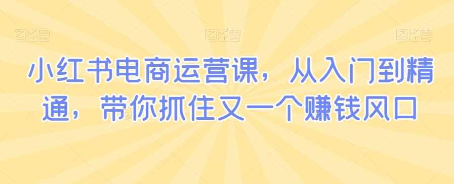 小红书电商运营课，从入门到精通，带你抓住又一个赚钱风口-小北视界