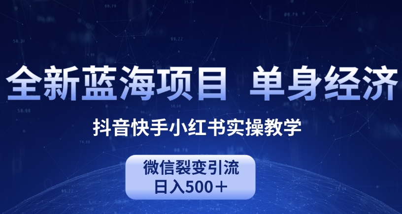 全新蓝海项目，单身经济抖音快手小红书实操教学，微信裂变引流日入500＋-小北视界