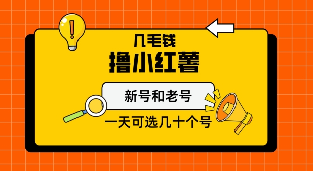 几毛钱撸小红书纯新号和老号，保姆级教程-小北视界