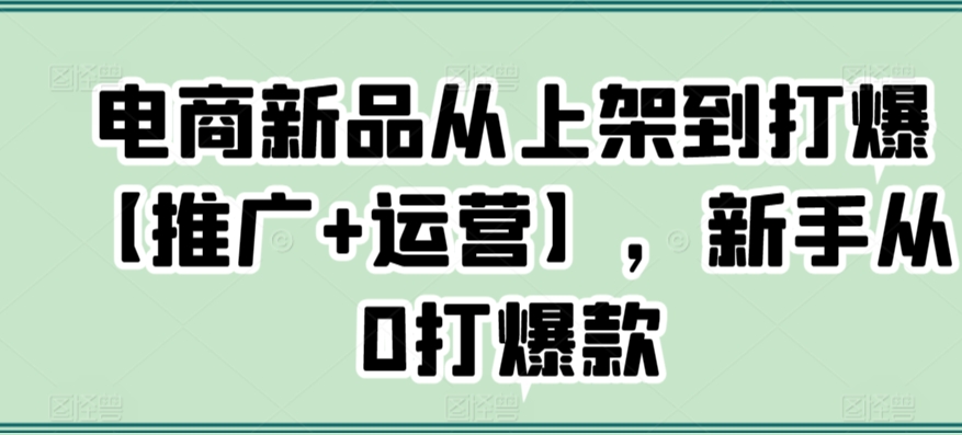 电商新品从上架到打爆【推广+运营】，新手从0打爆款-小北视界