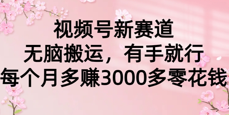 视频号新赛道，无脑搬运，有手就行，每个月多赚3000多零花钱-小北视界