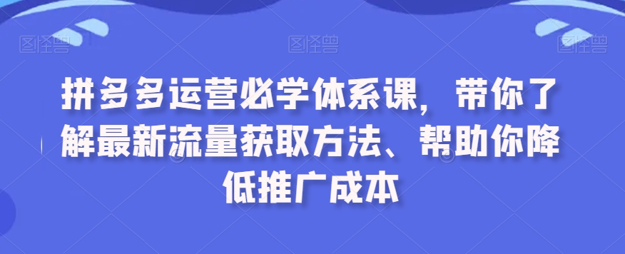 拼多多运营必学体系课，带你了解最新流量获取方法、帮助你降低推广成本-小北视界