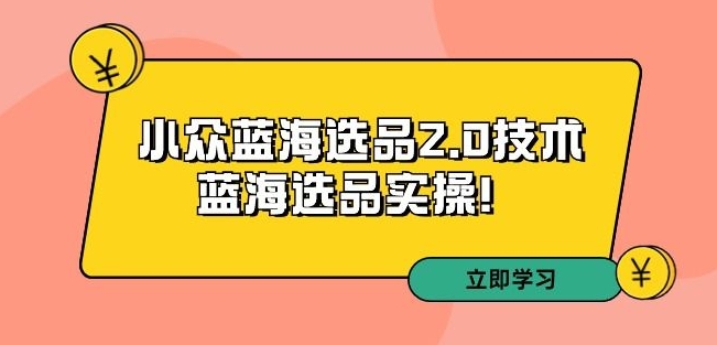 拼多多培训第33期：小众蓝海选品2.0技术-蓝海选品实操！-小北视界