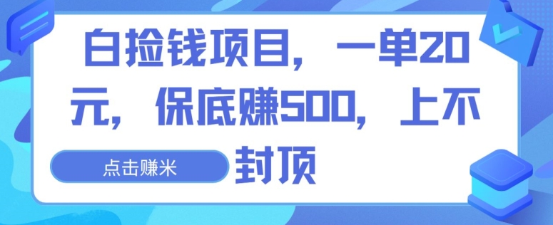 白捡钱项目，一单20元，保底赚500，上不封顶-小北视界