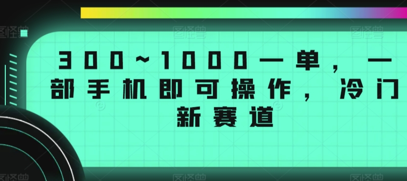 300~1000一单，一部手机即可操作，冷门新赛道-小北视界