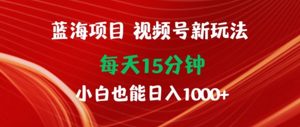 蓝海项目，视频号新玩法，每天15分钟，小白也能日入1000+-小北视界