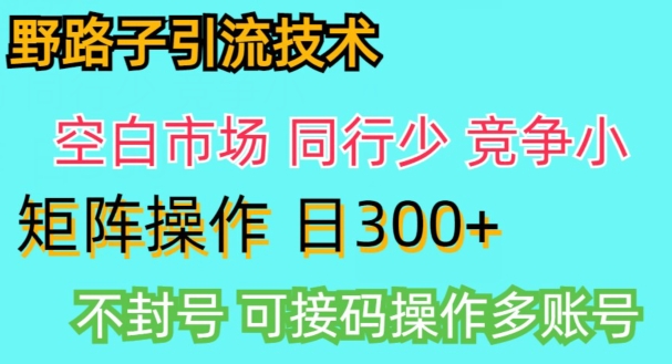 拼多多野路子引流创业粉实战教学，手动操作，用户转化率高-小北视界