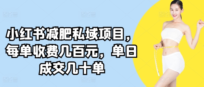 小红书减肥私域项目，每单收费几百元，单日成交几十单-小北视界