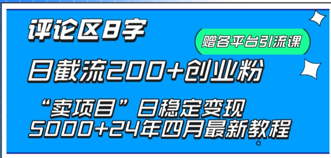 抖音评论区8字日截流200+创业粉 “卖项目”日稳定变现5000+【揭秘】-小北视界