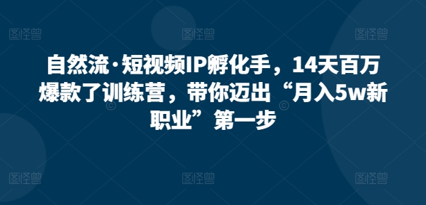 自然流·短视频IP孵化手，14天百万爆款了训练营，带你迈出“月入5w新职业”第一步-小北视界