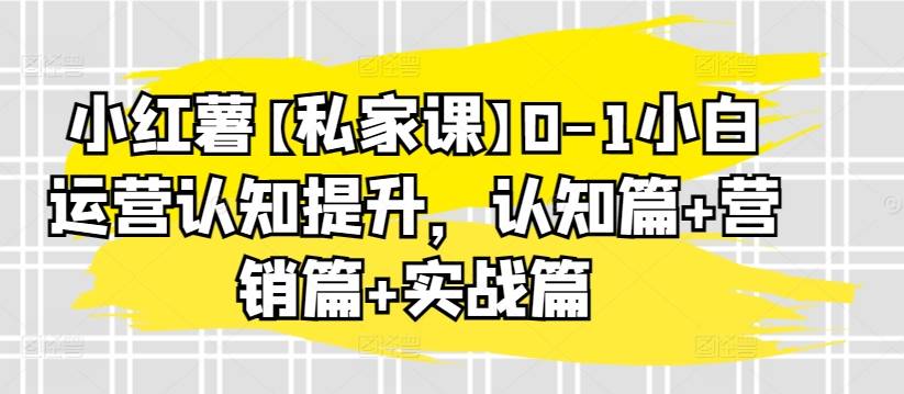 小红薯【私家课】0-1小白运营认知提升，认知篇+营销篇+实战篇-小北视界