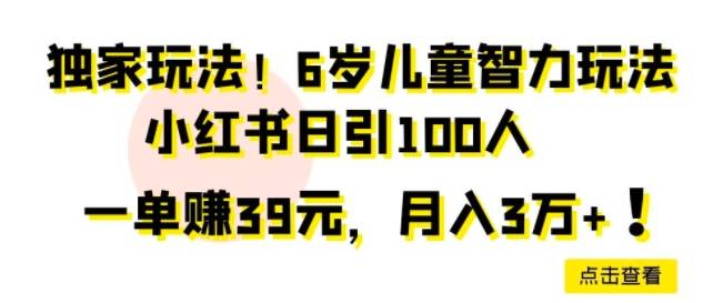 独家玩法，6岁儿童智力玩法，小红书日引100人-小北视界