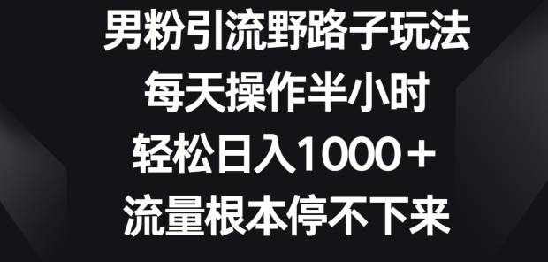 男粉引流野路子玩法，每天操作半小时轻松日入1000+，流量根本停不下来-小北视界