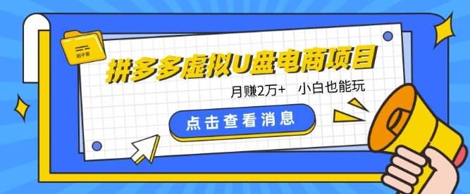 拼多多虚拟U盘电商红利项目：月赚2万+，新手小白也能玩-小北视界