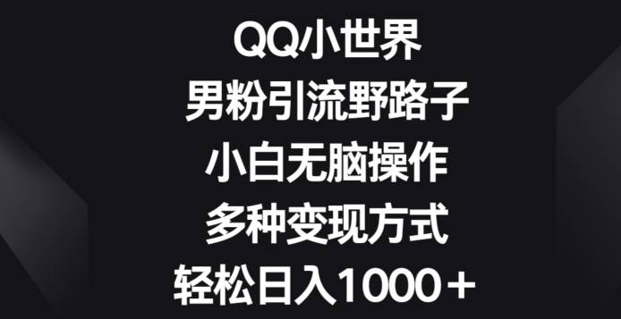 QQ小世界男粉引流野路子，小白无脑操作，多种变现方式轻松日入1000+-小北视界