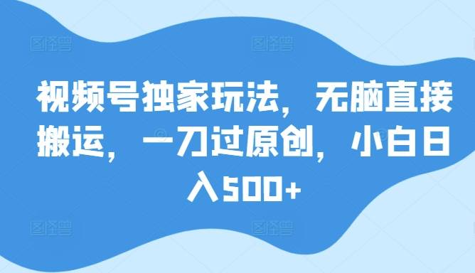 视频号独家玩法，无脑直接搬运，一刀过原创，小白日入500+-小北视界