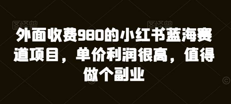 外面收费980的小红书蓝海赛道项目，单价利润很高，值得做个副业-小北视界