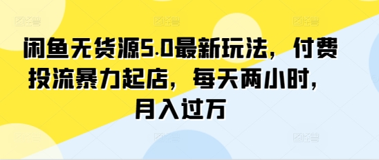 闲鱼无货源5.0最新玩法，付费投流暴力起店，每天两小时，月入过万!-小北视界