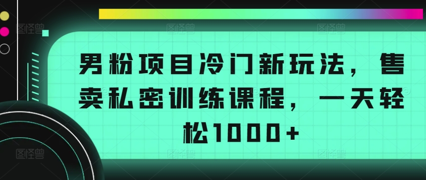 男粉项目冷门新玩法，售卖私密训练课程，一天轻松1000+【揭秘】-小北视界