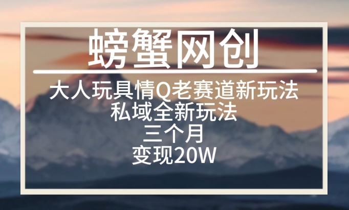 大人玩具情Q用品赛道私域全新玩法，三个月变现20W，老项目新思路【揭秘】-小北视界