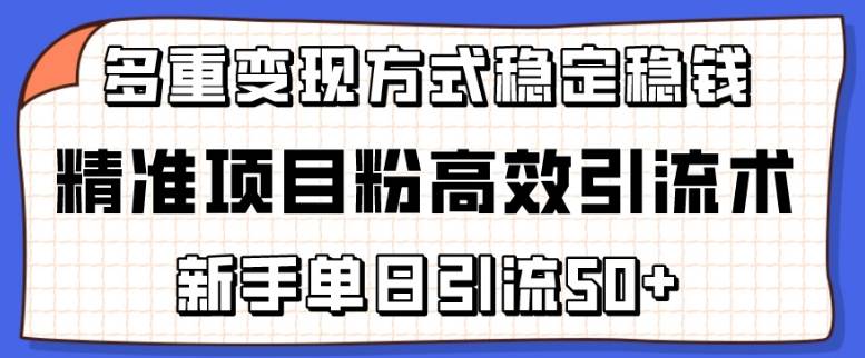 精准项目粉高效引流术，新手单日引流50+，多重变现方式稳定赚钱【揭秘】-小北视界