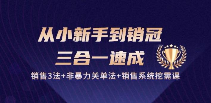 从小新手到销冠 三合一速成：销售3法+非暴力关单法+销售系统挖需课 (27节)-小北视界